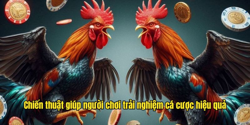 Phân tích chiến thuật giúp người chơi trải nghiệm cá cược hiệu quả