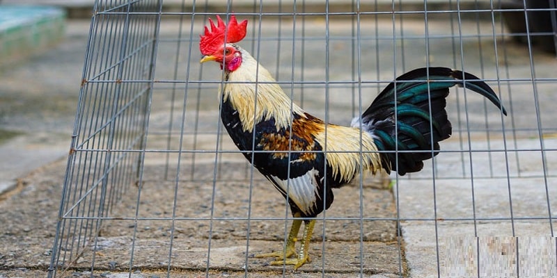 Chiến thuật tạo kết quả